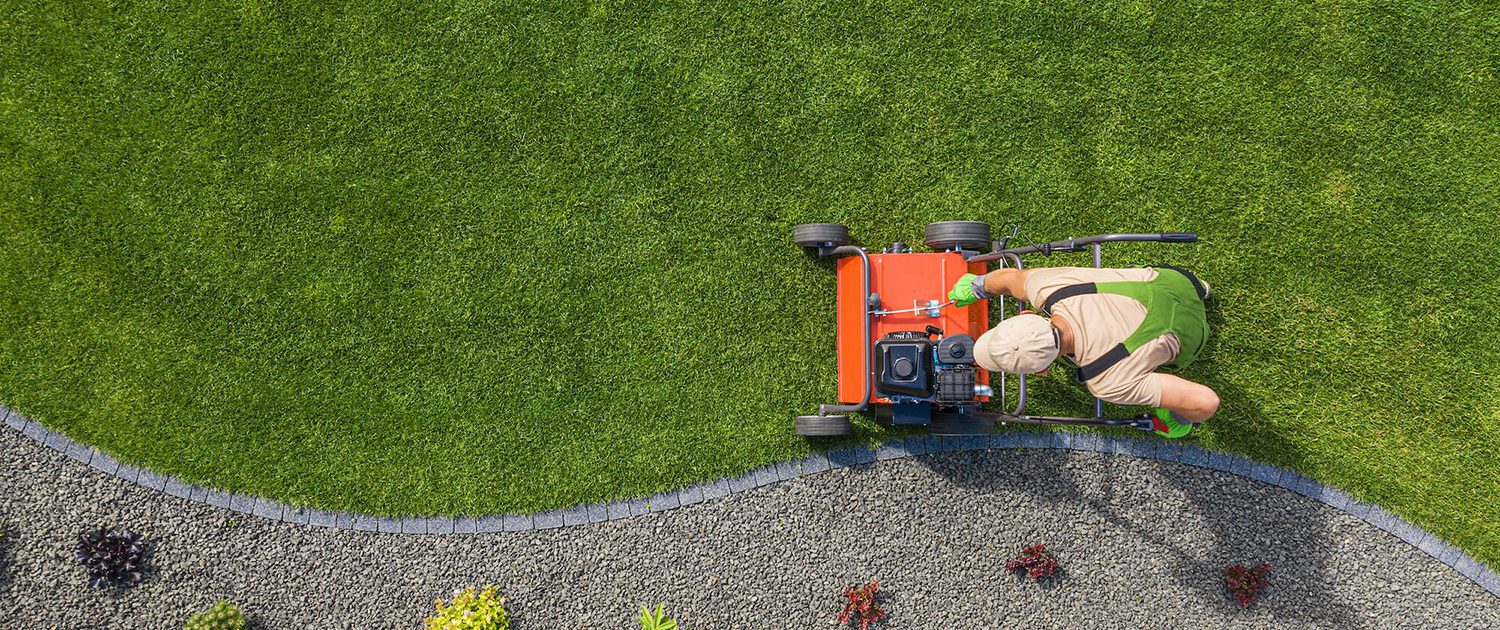 Landscaping Maryborough - Lawn Mowing, Garden Care