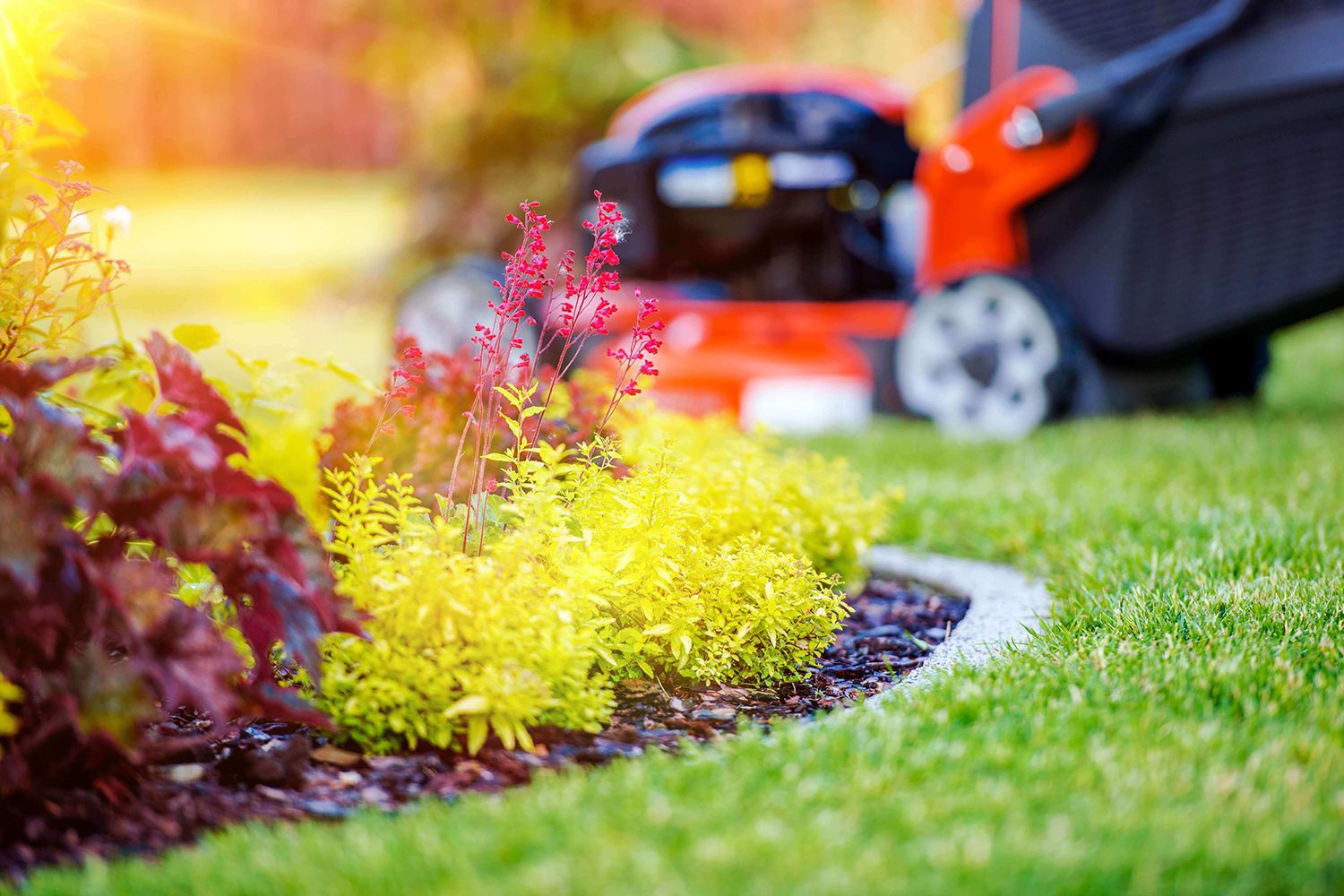 Landscaping Services Maryborough - Lawn Mowing, Garden Care
