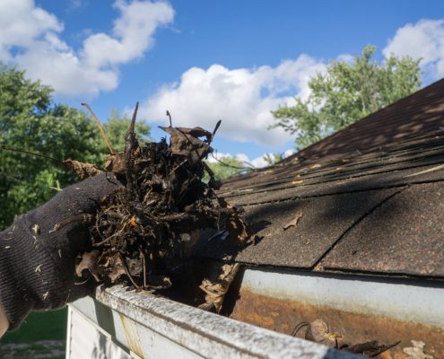 Roof Gutter Cleaning Services Maryborough - Handyman Services