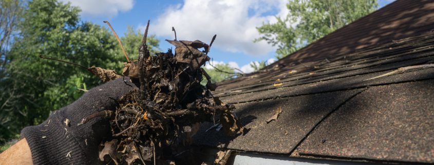 Roof Gutter Cleaning Services Maryborough - Handyman Services