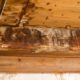 Signs of water damage under floor - Maryborough Handyman